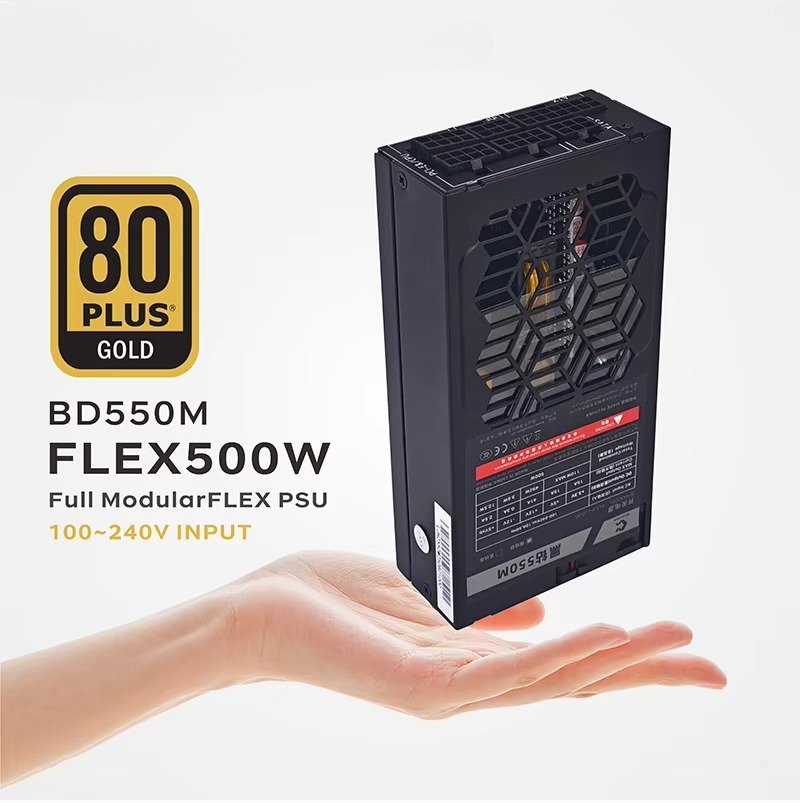 Flex 500/600W 80PLUS GOLD Voll – Flex Atx Power Supply 600W 1U Bewertung und Preis